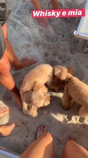 Elena Barolo feet photo thumbnail