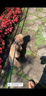 Elena Barolo feet photo thumbnail