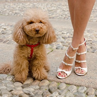 Elena Barolo feet photo thumbnail