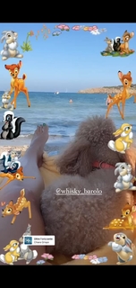 Elena Barolo feet photo thumbnail