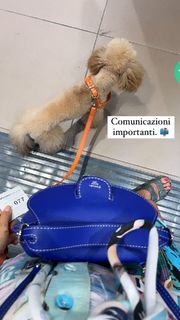 Elena Barolo feet photo thumbnail