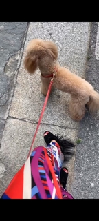 Elena Barolo feet photo thumbnail