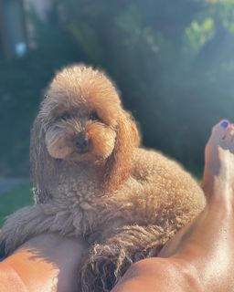 Elena Barolo feet photo thumbnail