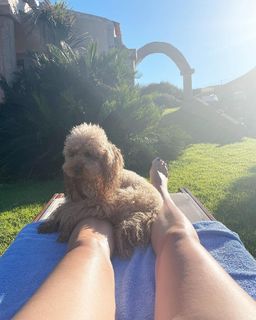 Elena Barolo feet photo thumbnail