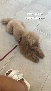 Elena Barolo feet photo thumbnail