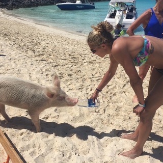 Elena Delle Donne feet photo 19