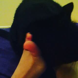 Elena Di Cioccio feet photo 7