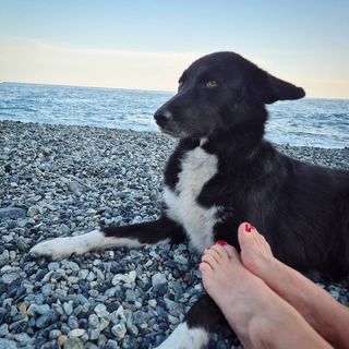 Elena Di Cioccio feet photo 4