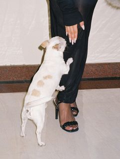 Elena Kitić feet photo 5