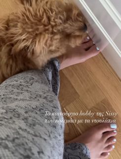 Elena Konsta feet photo 2