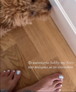 Elena Konsta feet photo 1
