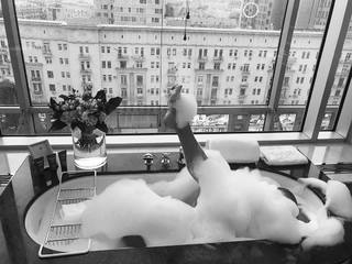 Elena Letuchaya feet photo thumbnail