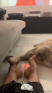 Elena Letuchaya feet photo thumbnail