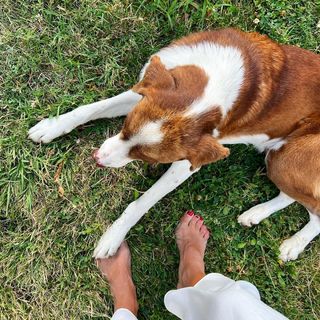 Elena Letuchaya feet photo thumbnail