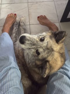 Elena Letuchaya feet photo thumbnail