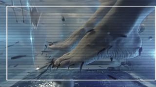 Elena Letuchaya feet photo 11