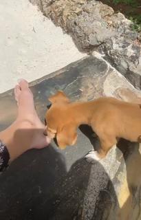 Elena Morali feet photo 13