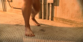 Elena Satine feet photo 10
