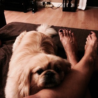 Elena Vulitsky feet photo 3