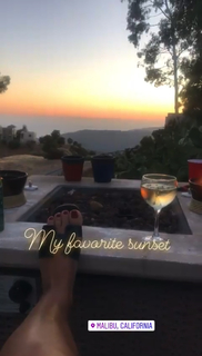 Elena Vulitsky feet photo 18