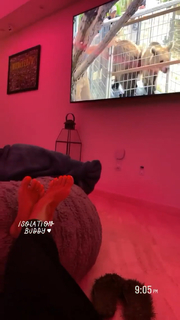 Elena Vulitsky feet photo 20