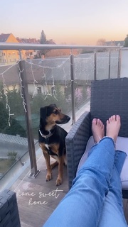 Eleni Balogh feet photo 16