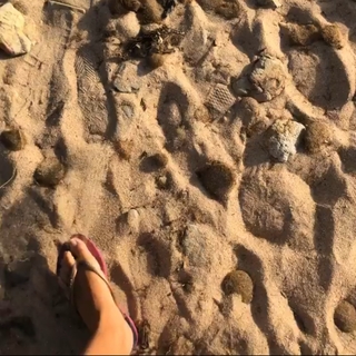 Eleonora Boi feet photo 15