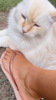 Eleonora Boi feet photo 4