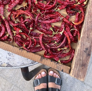 Eleonora Pedron feet photo thumbnail