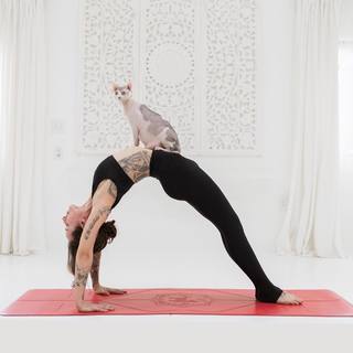 Eleonora Zampatti feet photo 1