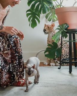 Eleonora Zampatti feet photo 11