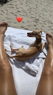 Elettra Lamborghini feet photo thumbnail