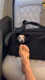Elettra Lamborghini feet photo thumbnail