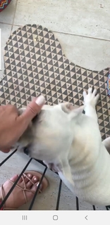 Eliana feet photo thumbnail