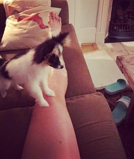 Elina Svitolina feet photo thumbnail