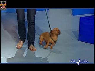 Elisa Isoardi feet photo thumbnail