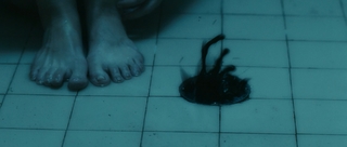 Elisabeth Harnois feet photo 1