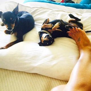 Elisabetta Canalis feet photo thumbnail