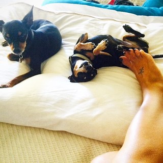 Elisabetta Canalis feet photo thumbnail