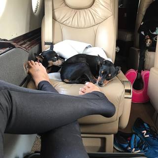 Elisabetta Canalis feet photo thumbnail