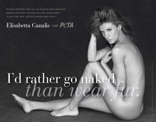 Elisabetta Canalis feet photo 15