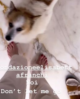 Elisabetta Franchi feet photo thumbnail