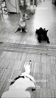 Elisabetta Franchi feet photo thumbnail