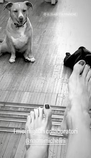 Elisabetta Franchi feet photo thumbnail