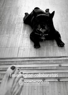 Elisabetta Franchi feet photo thumbnail