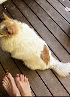 Elisabetta Franchi feet photo thumbnail