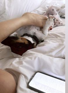 Elisabetta Franchi feet photo thumbnail