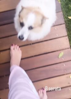 Elisabetta Franchi feet photo thumbnail