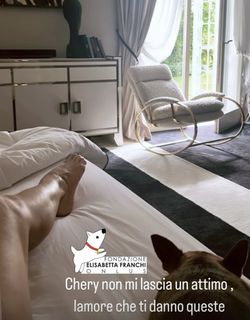 Elisabetta Franchi feet photo thumbnail