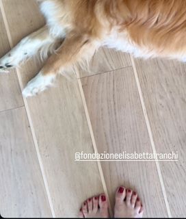 Elisabetta Franchi feet photo thumbnail